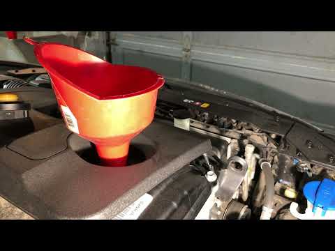 How to Change Oil 2019 Hyundai Elantra SE (2.0 liter engine)