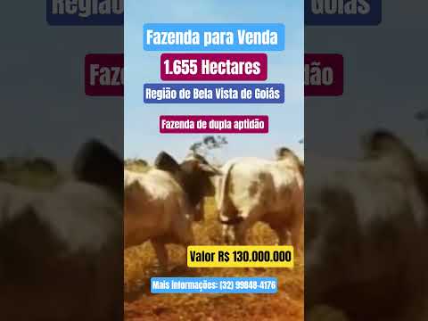 Belíssima Fazenda em Bela Vista de Goiás-GO, para Venda! #fazenda #paraiso #pecuarista #agro