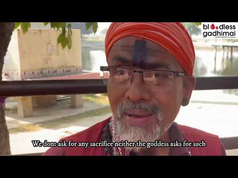 What Main Priest Says about the Animal Sacrifice - Gadhimai Festival