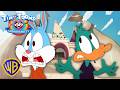 Looney Tunes Go Back To School Tiny Toons Looniversity Wbkids