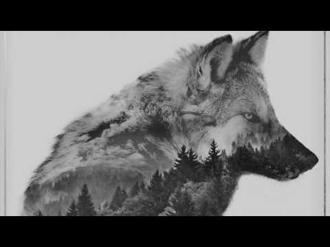 Joey Fehrenbach - Wolves (Nick Warren & Tripswitch Remix)