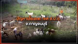 [Live] 15.15 น. #สถานีประชาชนยกกำลังสาม (16 ธ.ค.65)