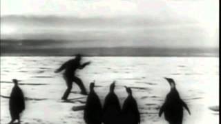 Dance of the penguins by Fiona Joy Hawkins