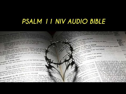 PSALM 11 NIV AUDIO BIBLE