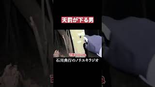 天罰が下りました #クワガタ