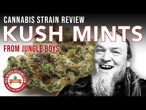 Kush Mints Allbud