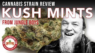 Jungle Boys | Kush Mints Strain Review | 32.79% THC