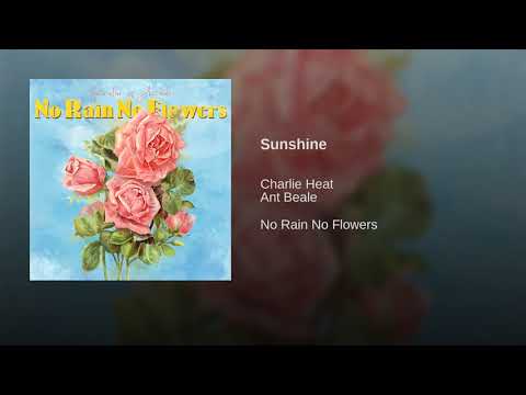 Sunshine ~By Charlie Heat~