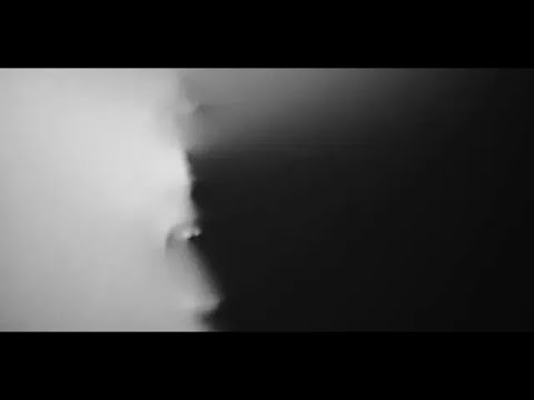 Untamed — Official Music Video