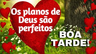 Boa tarde com Deus |Palavra do dia |Feliz Domingo |15 de Maio #boatarde #mensagemdefe #Domingo