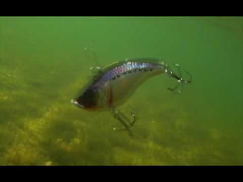 Venom Perch (EG-128A#945V)