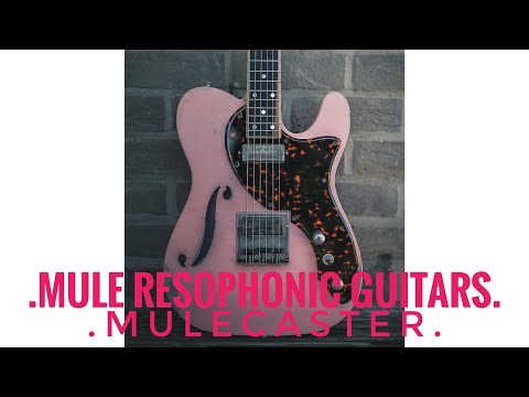 Mule Resophonic Mulecaster imagen 4
