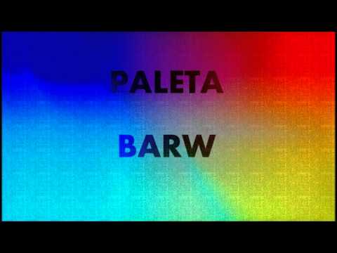 Baka - Paleta Barw ft. Michalina
