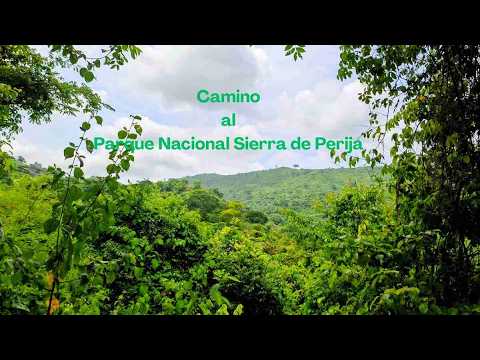 CAMINO AL PARQUE NACIONAL SIERRA DE PERIJÁ