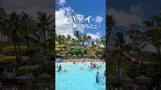 ハワイ唯一のウォーターパーク【ウェット・アンド・ワイルド・ハワイ】1日VLOG🌺