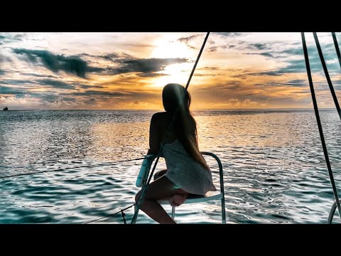 FREE FROM QUARANTINE - SAILING LIFE EP28