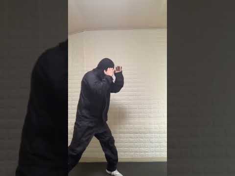 コンビネーション　ワンツー・フックを打ってみた！♯ボクシング♯コンビネーション♯shorts