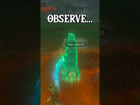 PROOF Flowerblight Ganon is EVIL!