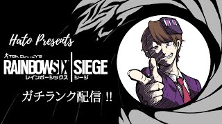 ［レインボーシックスシージ]ガチランクお邪魔いたし申す！smg11頑張っちゃう［ランク］