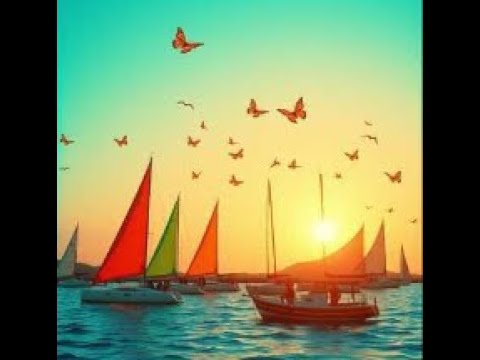 Regatas de veleros "Mariposas Marinas " en Santiago de Tolú sucre