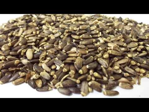 Milk thistle seeds (silybum marianum) seeds, oil & extract