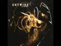 Entwine - Someone to Blame 