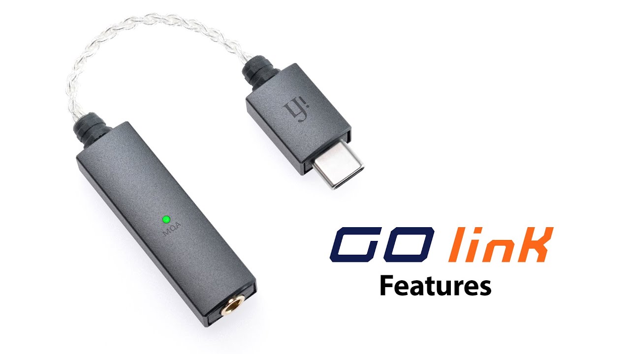 iFi Audio Amplificateur de casque & USB-DAC GO-Link