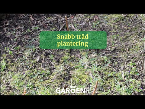 Snabb trädplantering - Trädgårdshacks med GardenR