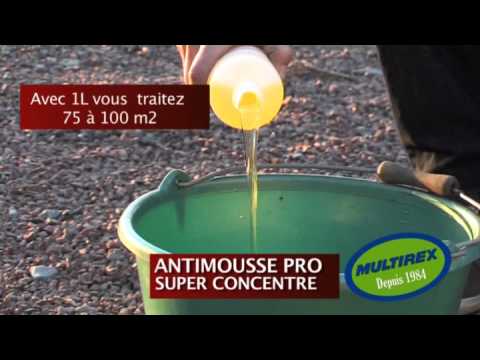 comment traiter toiture contre mousse