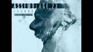 Assemblage 23 ~ Ignorance (Mr. Kitty Remix)
