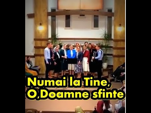 Grup Vicov - Numai la Tine , O Doamne Sfinte