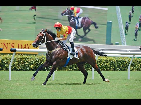 (GM賽馬) - 近十年最好睇既經典一哩 你睇好邊匹？ + 真飛參考投注策略 (30/1/2022)