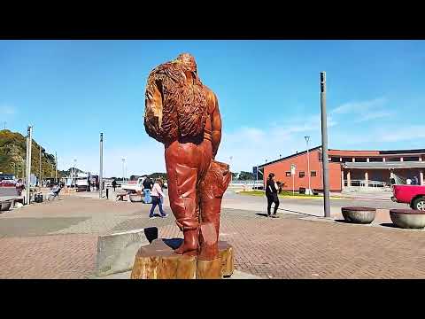 PUERTO SAAVEDRA (ARAUCANÍA/CHILE), Septiembre 12/2026.