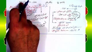 صورة 42 √ حالات تأنيث الفعل