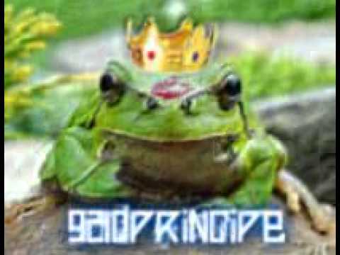 9210Principe - Imperial