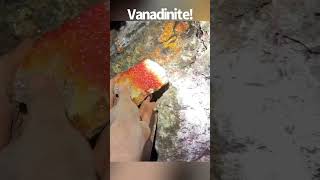 100ft underground! Digging for beautiful Vanadinite crystals in Arizona.