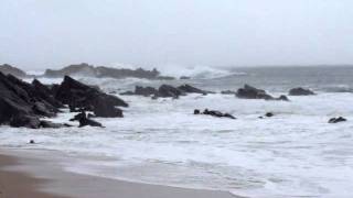 preview picture of video 'Temporal en playa Las Salinas, Las Cruces, comuna de El Tabo. Chile.'