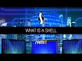 What Is a Shell