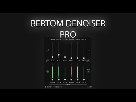 Is Bertom Denoiser Pro worth it?