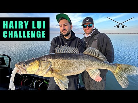 Wie viele Farben fangen Zander? XXL Hairy Lui Challenge - Pelagisch Angeln