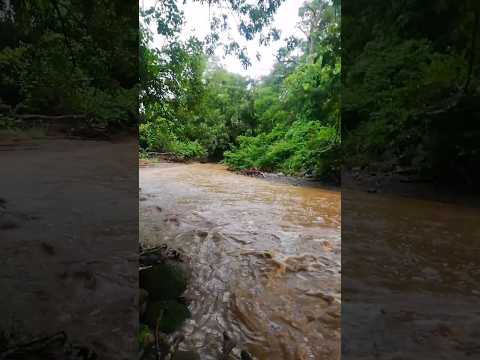 Río Creciendo #estanzuelas #usulután #elsalvador #turismo #parati #fypシ゚viral #oriente #fypシ゚ 🇸🇻🇸🇻