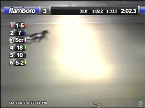 Domedomedome(2:02.3)-Flamboro Downs,Race 3-Sat, Feb 7, 2015