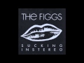 Something's Wrong The Figgs