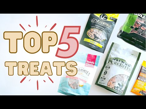 Top 5 Best Natural Treats You Can Find At Your Pet Store