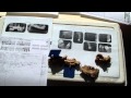 Dental Forensics Practice Case #1