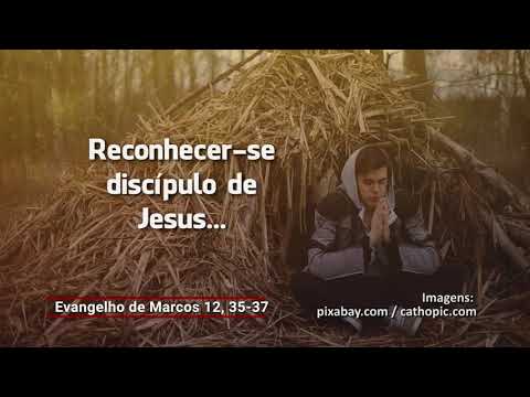 Evangelho do dia  05-06-2020
