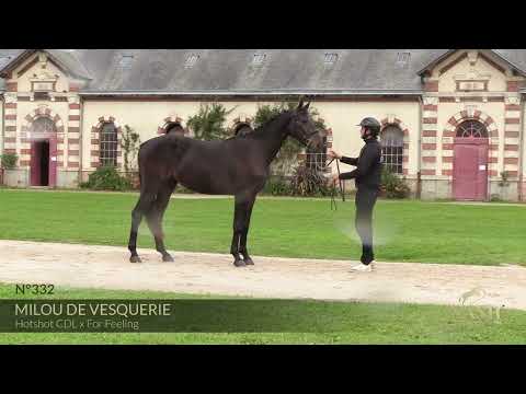 MILOU DE VESQUERIE