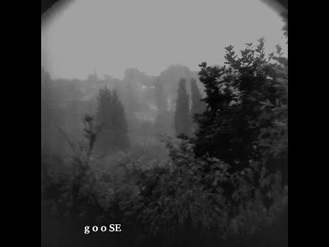 𝚐𝟶𝟶𝚂𝙴 - 𝙰𝚘𝚔𝚒𝚐𝚊𝚑𝚊𝚛𝚊