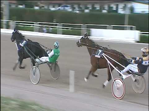 Trotto 01/12/2019 - 2ª corsa