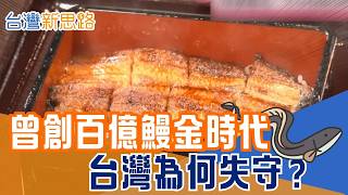 台灣鰻魚王國光環退了？技術遭複製、低價對手搶市　百億外銷榮景變轉型求生戰封面短標｜【台灣新思路】三立財經iNEWS